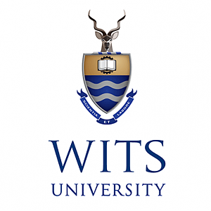 WITS_square.png