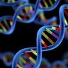 The Genomics Era: the Future of Genetics in Medicine