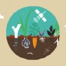 Citizen Science: From Soil to Sky