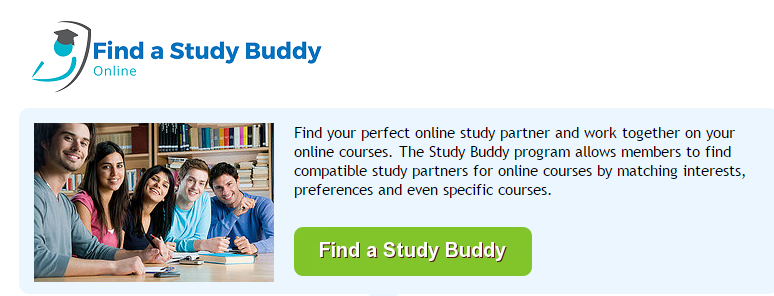 Study Buddy.png