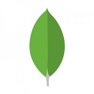 MongoDB Avatar.jpg