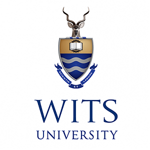 Wits University