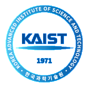 Korea Advanced Institute of Science and Technology (KAIST)