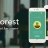 Study with me (girls)+Forest app