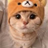 Namu
