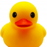 Sephie