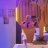 timm_