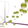 Exploratory Data Analysis