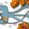 Molecular Biology - Part 1: DNA Replication and Repair