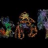 Proteins: Biology's Workforce
