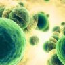 Challenges in Antibiotic Resistance: Gram Negative Bacteria