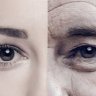 Why Do We Age? The Molecular Mechanisms of Ageing