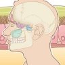 Acute and Chronic Rhinosinusitis: A Comprehensive Review