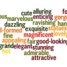 Adjectives and Adjective Clauses