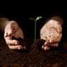 Soils: Introducing the World Beneath Our Feet